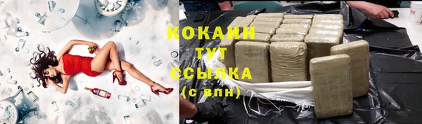 индика Зеленокумск