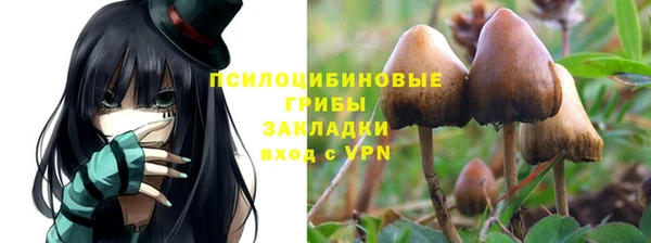 ПСИЛОЦИБИНОВЫЕ ГРИБЫ Зеленодольск