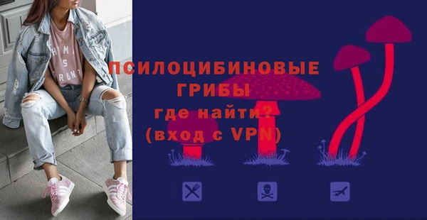 ПСИЛОЦИБИНОВЫЕ ГРИБЫ Зеленодольск