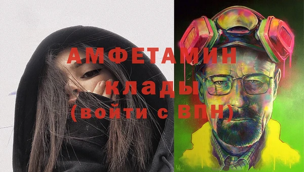 индика Зеленокумск