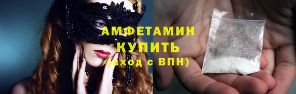 индика Зеленокумск