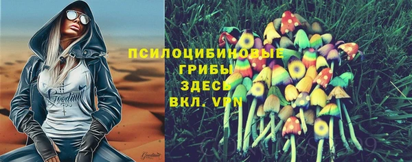 индика Зеленокумск