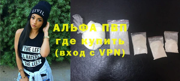 индика Зеленокумск