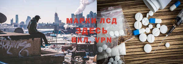 индика Зеленокумск