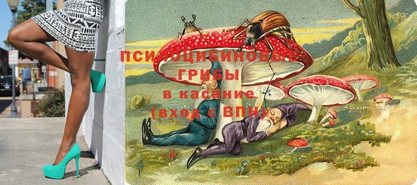 ПСИЛОЦИБИНОВЫЕ ГРИБЫ Зеленодольск