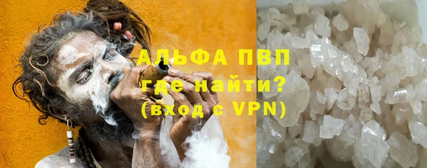 индика Зеленокумск