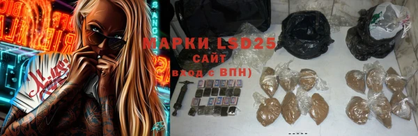 индика Зеленокумск