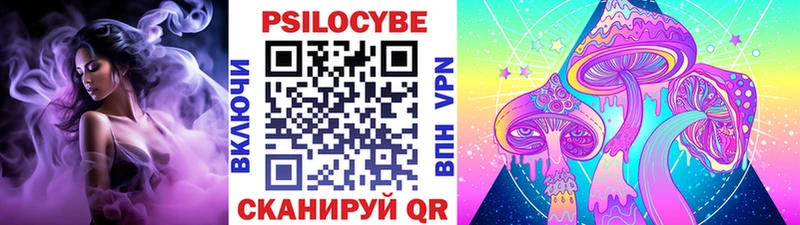 Купить  Ишим  Галлюциногенные грибы Cubensis 